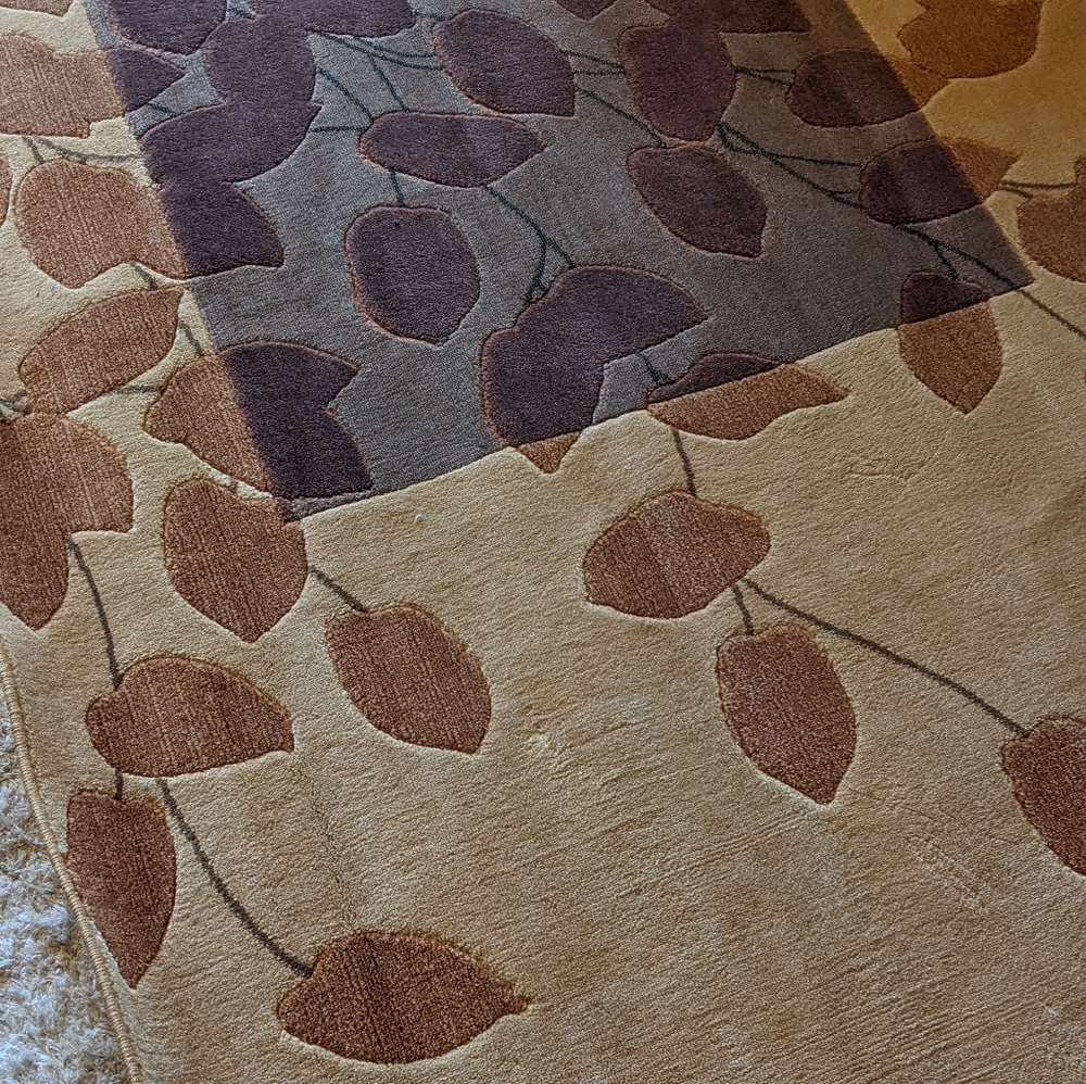 Area rug